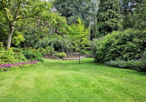 Optimiser l'expérience du jardin à Villers-au-Tertre